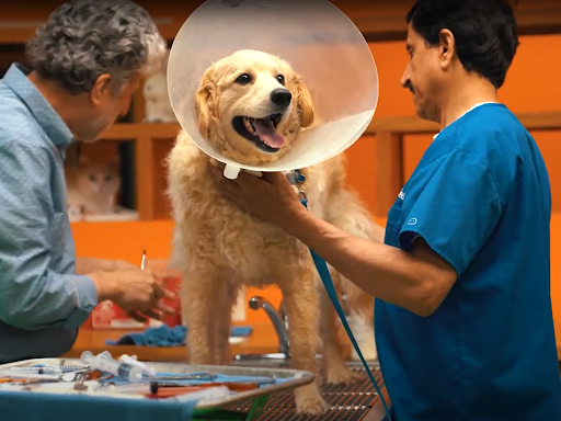 Nova Pets Health Center image