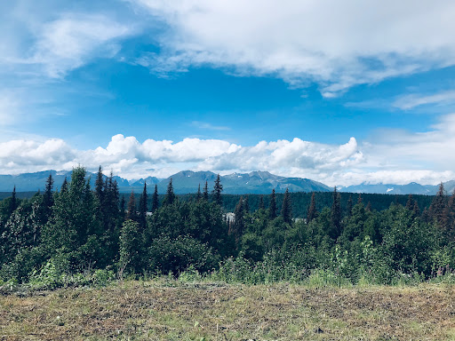 Auto Repair Shop «C&H Automotive and Towing», reviews and photos, 185 Main St, New Canaan, CT 06840, USA