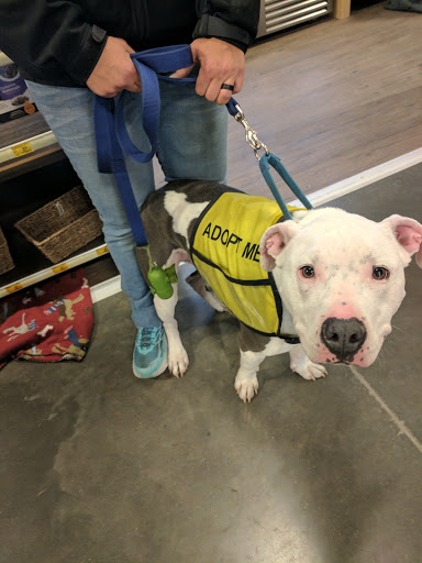 Pet Supply Store «PetSmart», reviews and photos, 7663 Arundel Mills Blvd, Hanover, MD 21076, USA