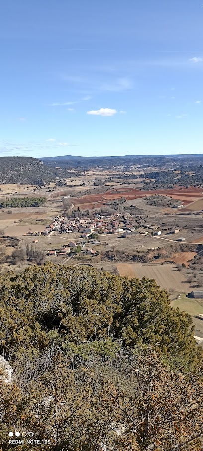 negocio Huérmeces del Cerro