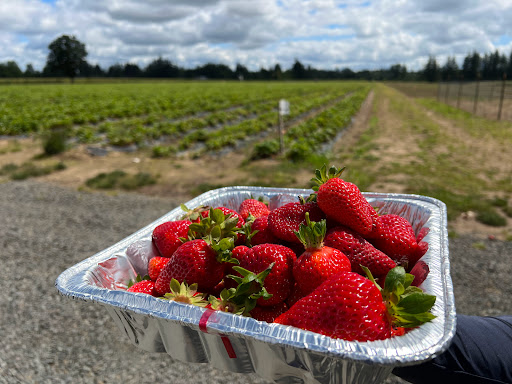 Produce Market «Boones Ferry Berry Farms», reviews and photos, 19602 NE Boones Ferry Rd, Hubbard, OR 97032, USA