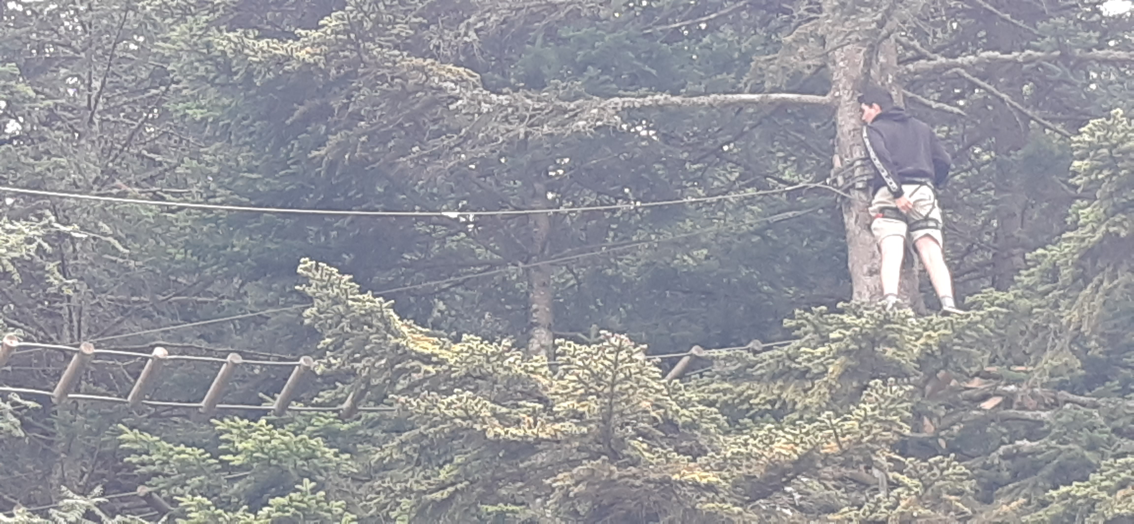 Photo n° 1 de l'avis de Reh.a fait le 20/08/2023 à 14:24