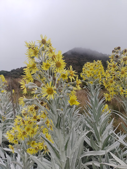 Nevado del ruiz