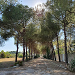 Photo n°7 de l'avis de Florian.u fait le 06/07/2019 à 07:05 sur le  Masseria Palombara, Relais & SPA à Oria