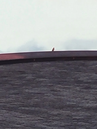 Live Music Venue «Blossom Music Center», reviews and photos, 1145 W Steels Corners Rd, Cuyahoga Falls, OH 44223, USA