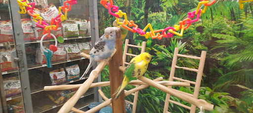 Pet Supply Store «Petco Animal Supplies», reviews and photos, 1419 Towne Square Blvd NW, Roanoke, VA 24019, USA