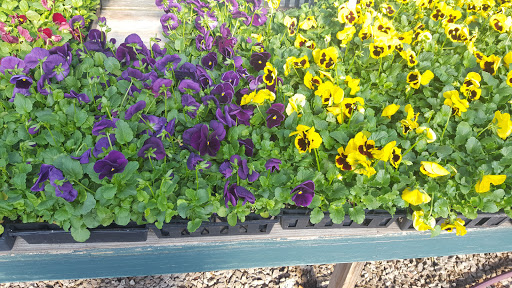 Plant Nursery «Martins Home & Garden», reviews and photos, 1020 NW Broad St, Murfreesboro, TN 37129, USA