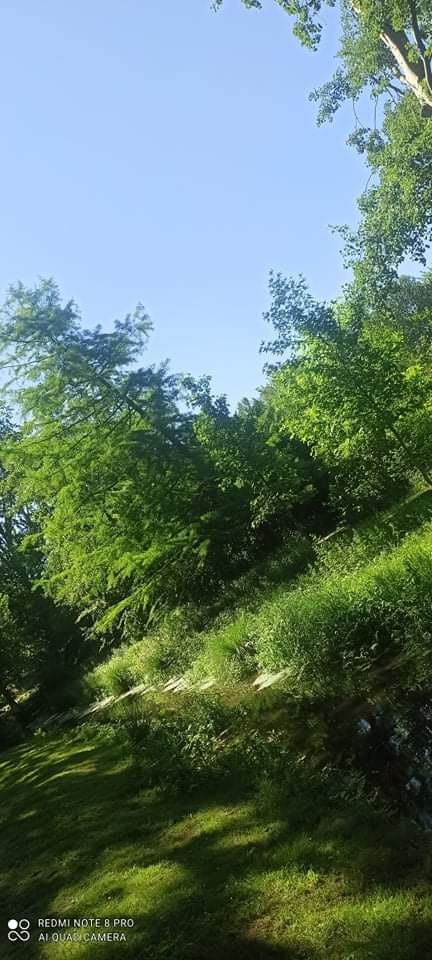 Photo n° 1 de l'avis de Isabelle.a fait le 20/06/2021 à 16:09