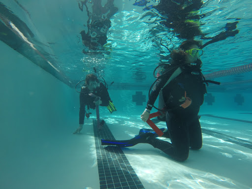 Dive Shop «Orbit Marine Sports Center Inc», reviews and photos, 3273 Fairfield Ave, Bridgeport, CT 06605, USA