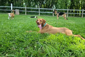 Erie MetroBark Park image