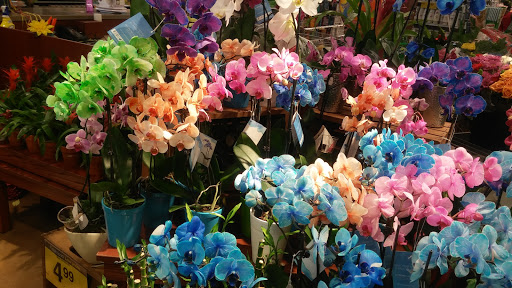 Grocery Store «Kroger», reviews and photos, 3030 Headland Dr SW, Atlanta, GA 30311, USA