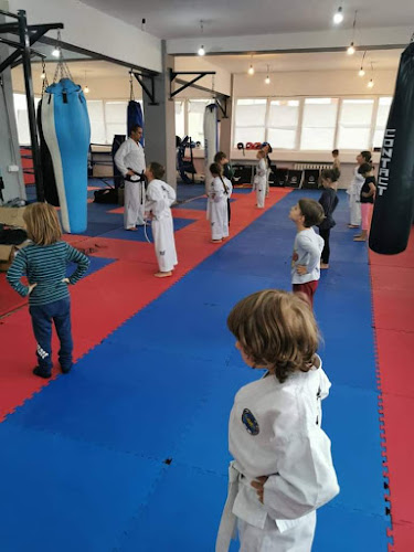 Martial Arts Dojo - Taekwondo - Școală