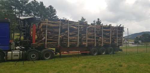 Bois de chauffage jérôme à Caille