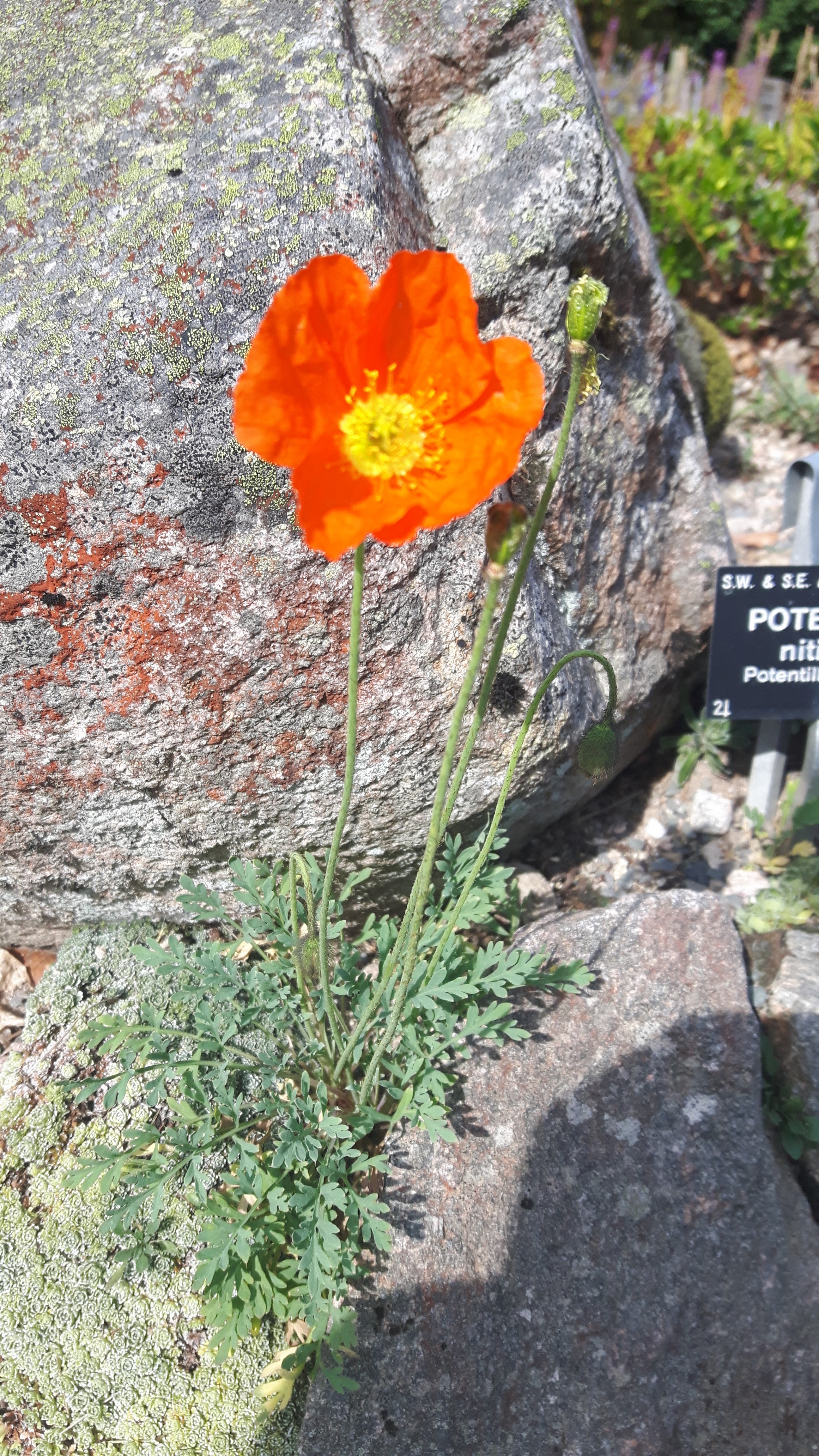 Photo n° 1 de l'avis de Eglentine.b fait le 08/08/2018 à 15:17
