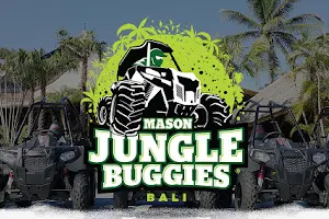 Mason Jungle Buggies image