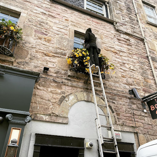 Reviews of Stein & Co Window Cleaners in Edinburgh - House cleaning service