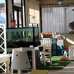 Photo n°5 de l'avis de Roberto.a fait le 23/02/2023 à 21:06 sur le  Restaurant Maraviglia à Torre Pedrera