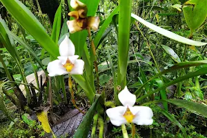 El Pahuma Orchid Reserve image