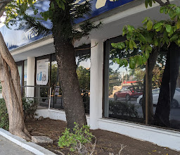 Telcel Cancún II Flamingo photo