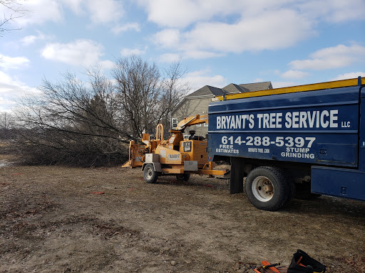Bryants Tree Service, LLC image 4