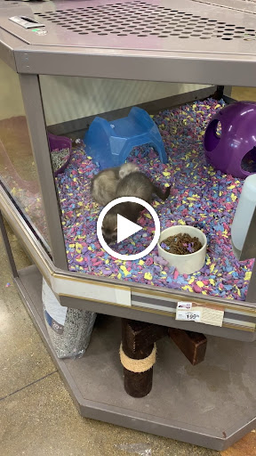 Pet Supply Store «Petsense Fort Worth», reviews and photos, 1408 Eastchase Pkwy #100, Fort Worth, TX 76120, USA