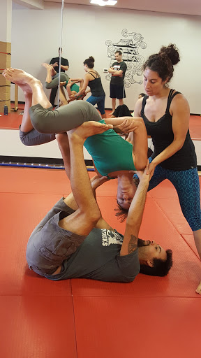 Martial Arts School «Iron Pagoda Athletic Club», reviews and photos, 607 N Sherman Ave, Madison, WI 53704, USA