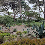 Photo n° 8 de l'avis de Julien.e fait le 23/08/2023 à 20:56 pour Jardin Georges Delaselle à Île-de-Batz