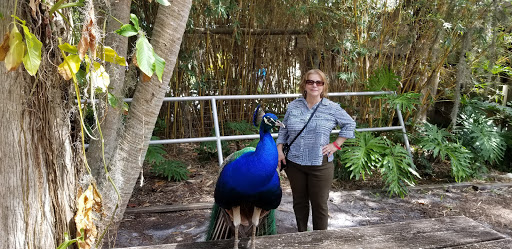 Community Center «Robert Guevara Community Center», reviews and photos, 501 Florida Pkwy, Kissimmee, FL 34743, USA