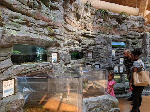 Nature Preserve «Three Lakes Park & Nature Center», reviews and photos, 400 Sausiluta Dr, Richmond, VA 23227, USA