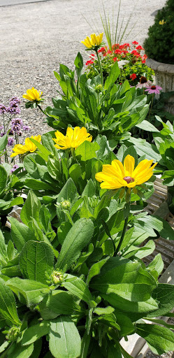 Florist «Colonial Gardens Full Service Florist & Garden Center», reviews and photos, 442 Fitchburg Turnpike, Concord, MA 01742, USA