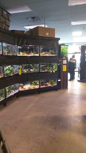 Fish store Grand Rapids