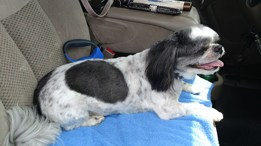 Pet Boarding Service «Creature Comforts», reviews and photos, 1600 W Cotton St, Longview, TX 75604, USA