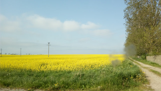 Elklim chłodnictwo klimatyzacja wentylacja - Wykonawca instalacji grzewczych, klimatyzacyjnych i wentylacyjnych