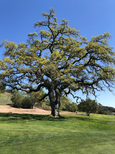 Golf Course «Gilroy Golf Course», reviews and photos, 2695 Hecker Pass Rd, Gilroy, CA 95020, USA