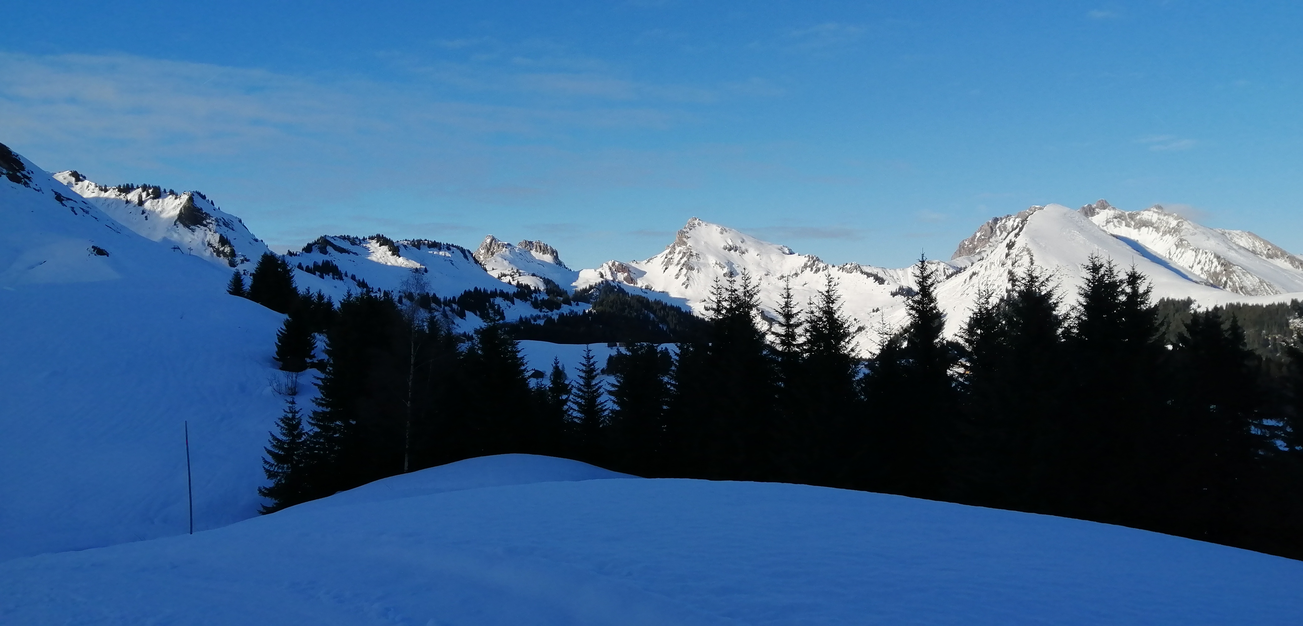Photo n° 2 de l'avis de Pat.u fait le 01/02/2020 à 15:09