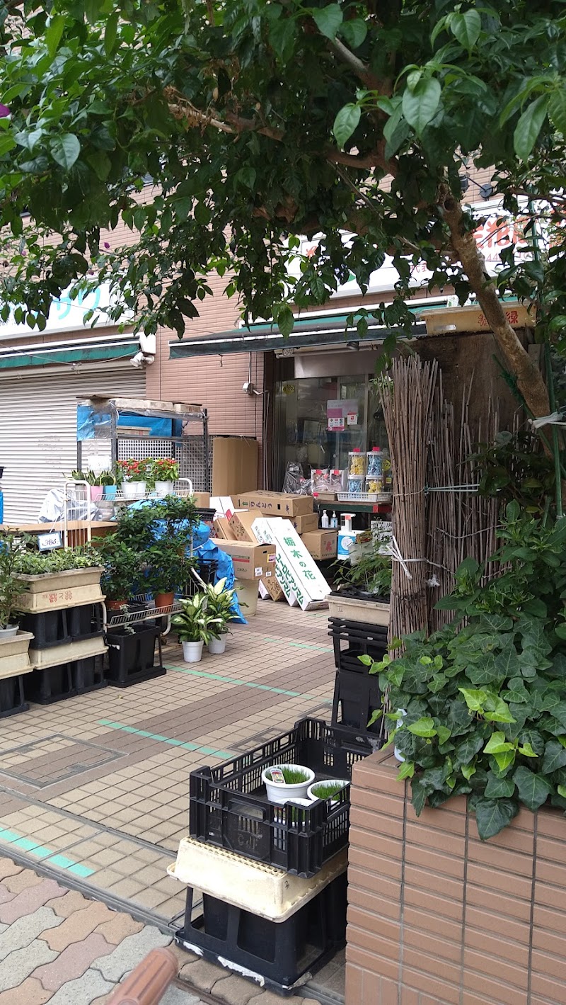 植木生花店 本店