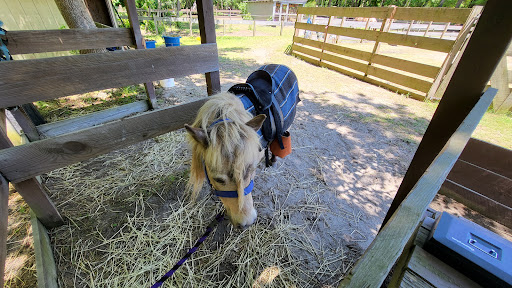 Theme Park «Frontier Town Western Theme Park», reviews and photos, 8428 Stephen Decatur Hwy, Berlin, MD 21811, USA