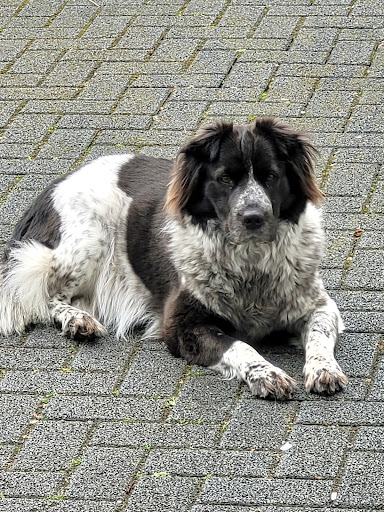 Tierarztpraxis Erling unter Lünen, Nordrhein-Westfalen