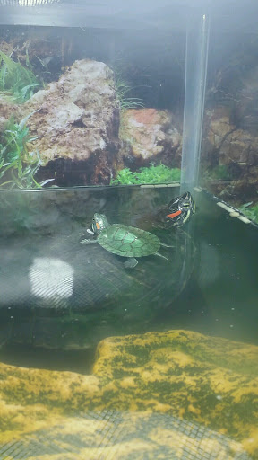 Pet Supply Store «PetSmart», reviews and photos, 315 Gellert Blvd, Daly City, CA 94015, USA