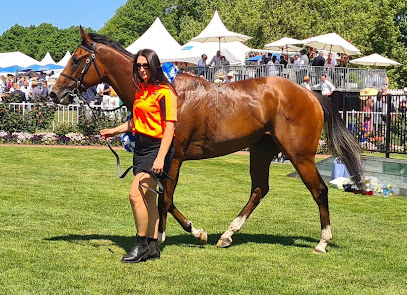 Riccarton Racecourse