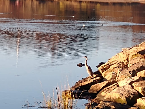 Park «Marine Park», reviews and photos, Fillmore Ave, Brooklyn, NY Brooklyn, USA