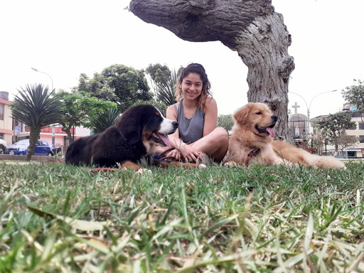 Residencias canina Lima