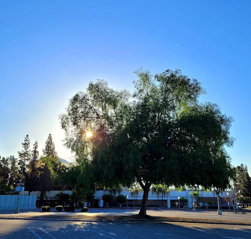 Shopping Mall «Carousel Mall», reviews and photos, 295 Carousel Mall, San Bernardino, CA 92401, USA