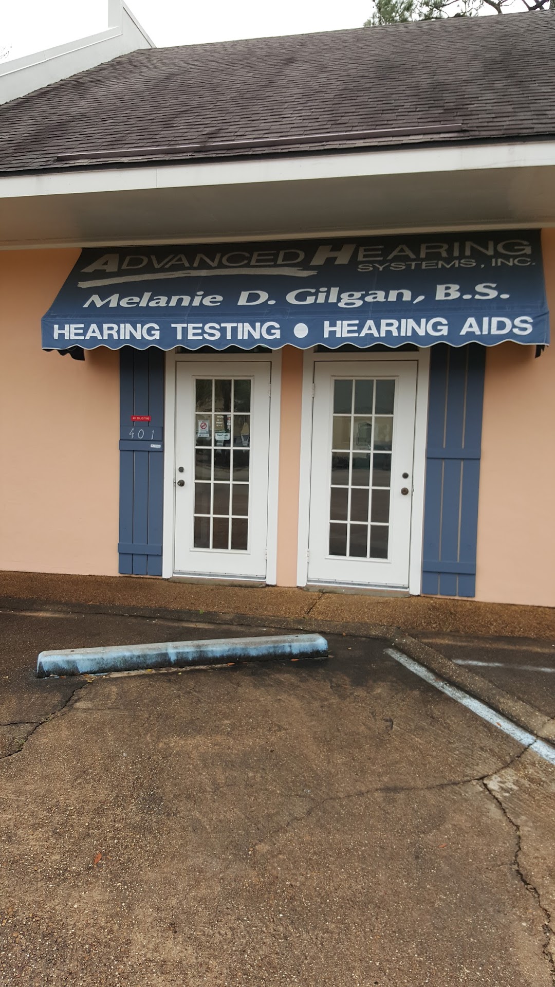 Advanced Hearing Systems, Inc.