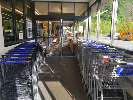 Grocery Store «Food Lion», reviews and photos, 3555 Tynecastle Hwy, Banner Elk, NC 28604, USA