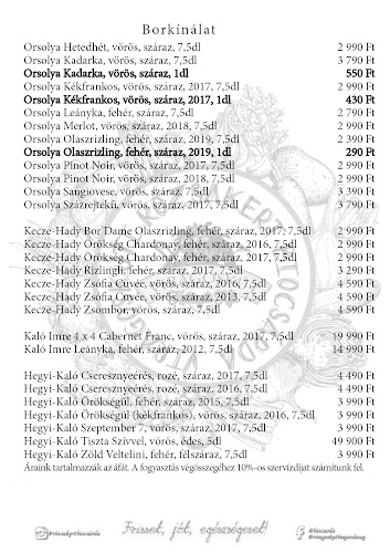 Opinii despre Virágoskúti Rózsakert Biocsárda în Balmazújváros - Étterem