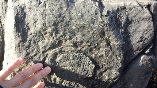 Park «North Lynnwood Park», reviews and photos, 18510 44th Ave W, Lynnwood, WA 98037, USA