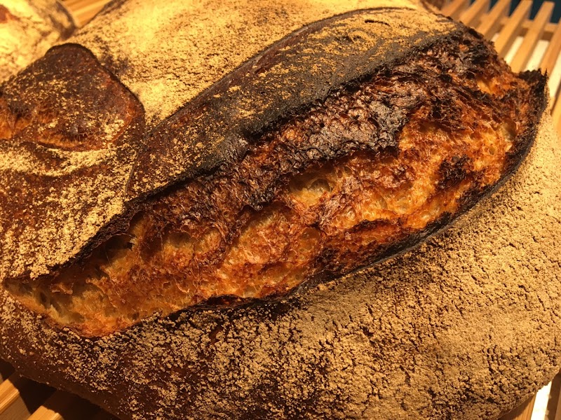国産オーガニック小麦のパン Trente Trois (トランテ トロワ)