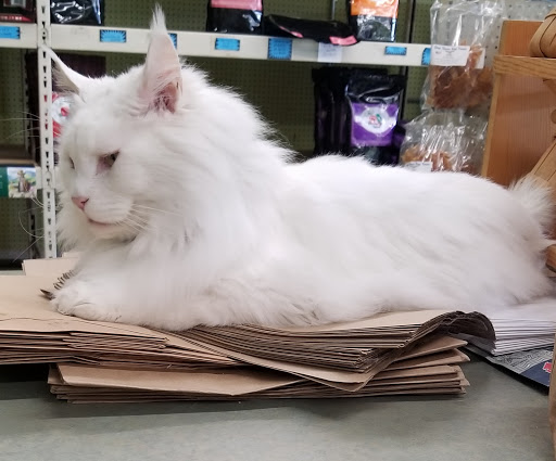 Pet Supply Store «Animal Krackers Inc», reviews and photos, 232 Main St, Gloucester, MA 01930, USA