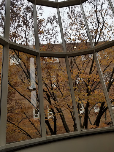 Museum «Weatherspoon Art Museum», reviews and photos, 500 Tate St, Greensboro, NC 27412, USA